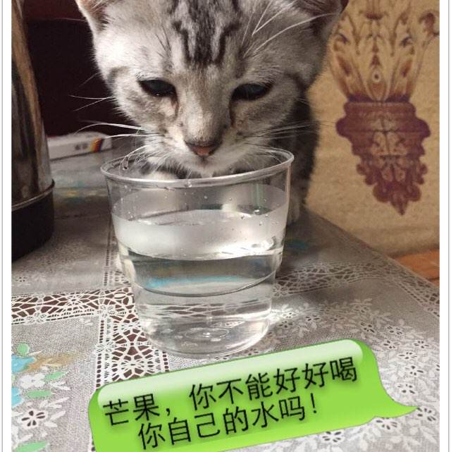 网络教育本科学位证书好拿吗